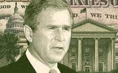 bush-money
